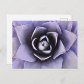 Paarse Agave Plant Post Kaart (Voorkant / Achterkant)