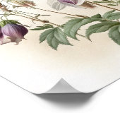 Paarse Akelei Bloemen Kunstprint Poster (Hoek)