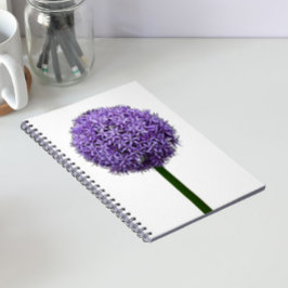 Paarse Allium Bloei op Witte Achtergrond Notitieboek