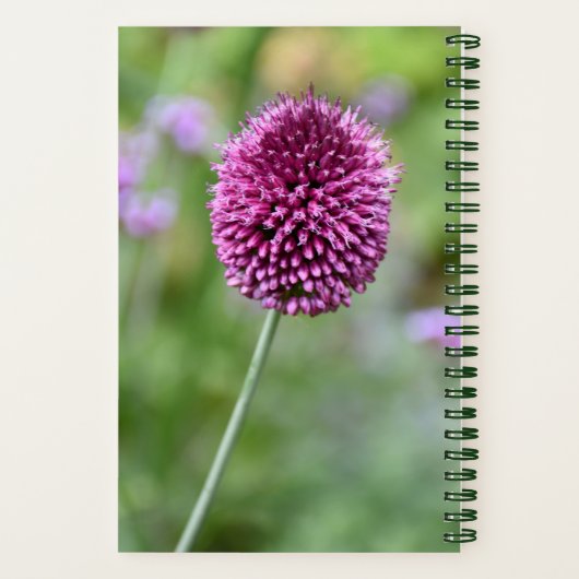 Paarse Allium bloesem bloesem Notitieboek (Achterkant)