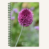 Paarse Allium bloesem bloesem Notitieboek (Voorkant)