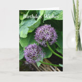 Paarse Allium Floral Birthday Kaart (Voorkant)