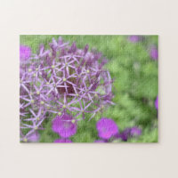 Paarse Allium Flower Blossom Natuur Fotografie