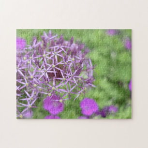 Paarse Allium Flower Blossom Natuur Fotografie Legpuzzel