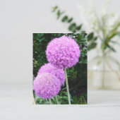 Paarse Allium Flower Briefkaart (Staand voorkant)