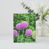 Paarse Allium Flower Briefkaart (Staand voorkant)