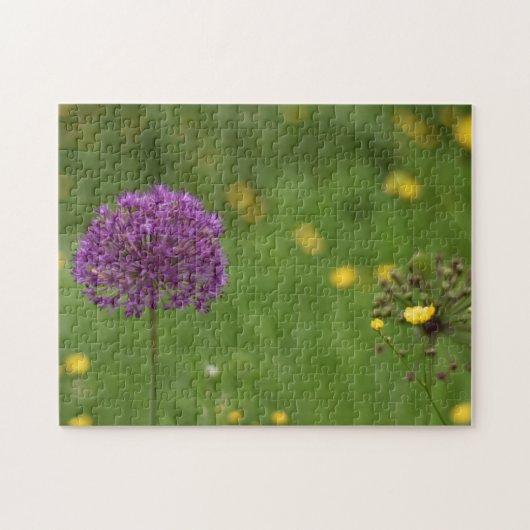 Paarse Allium Flower Natuur Legpuzzel (Horizontaal)