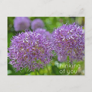 Paarse Allium Flowers denken aan jou Briefkaart