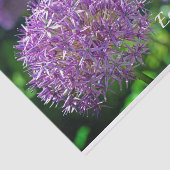 Paarse Allium Flowers Garden Quote Tissuepapier (Detail)