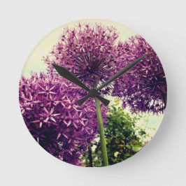 Paarse Allium Ronde Klok