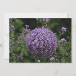 paarse alliumbloem - Vlak Wenskaart Kaart