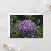 paarse alliumbloem - Vlak Wenskaart Kaart (Voorkant / Achterkant in situ)