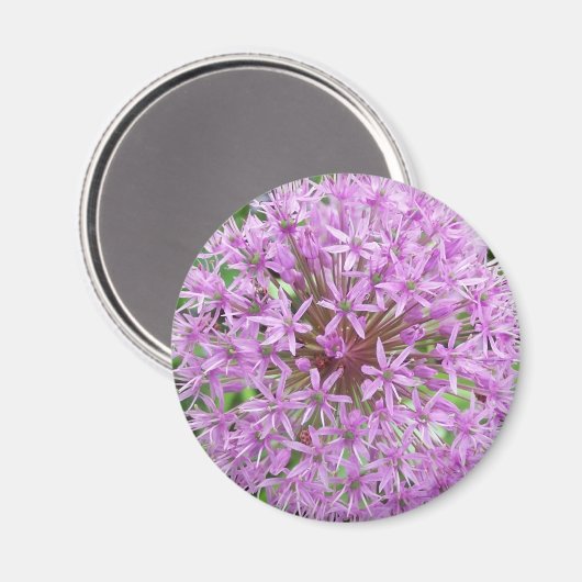 Paarse Alliummagneet Magneet (Voorkant / Achterkant)