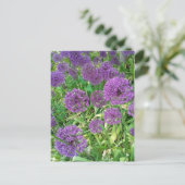 Paarse Alliums Garden Flower Briefkaart (Staand voorkant)