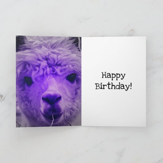 Paarse Alpaca, Birthday Kaart (Binnen)