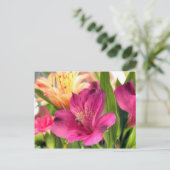 Paarse Alstroemeria Flower Lilies Flowers Foto Briefkaart (Staand voorkant)
