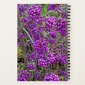 Paarse Amerikaanse Schoonbes botanisch Notitieboek (Achterkant)