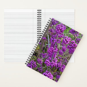 Paarse Amerikaanse Schoonheidbes Botanisch Notitieboek