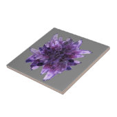 PAARSE AMETHYST QUARTZ CRYSTALS MINERAL TEGELTJE (Zijkant)