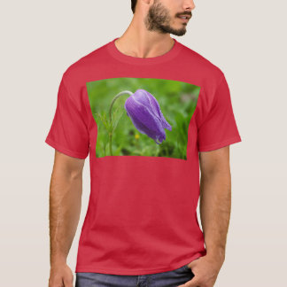 Paarse anemie coronaria die groeien in hun natuurl t-shirt