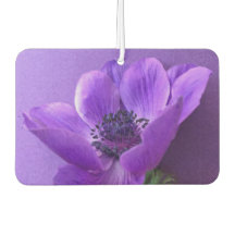 Paarse anemon op gelijkaardige kleurenachtergrond