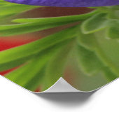 Paarse Anemon Poster (Hoek)