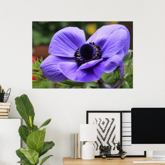 Paarse Anemon Poster (Thuiskantoor)