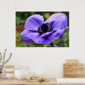 Paarse Anemon Poster (Keuken)