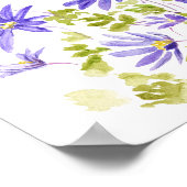 paarse anemone blanda Waterverf Poster (Hoek)