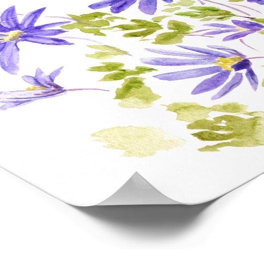 paarse anemone blanda Waterverf Poster (Hoek)