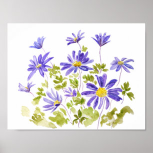 paarse anemone blanda Waterverf Poster