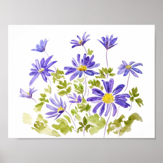 paarse anemone blanda Waterverf Poster (Voorkant)