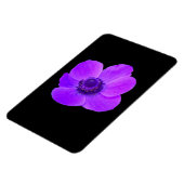 Paarse Anemone Premium Magnet Magneet (Linkerzijde)