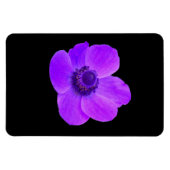 Paarse Anemone Premium Magnet Magneet (Horizontaal)