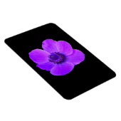 Paarse Anemone Premium Magnet Magneet (Rechterzijde)