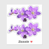 Paarse Anemoon Hepatica Bloemen Vinyl Sticker (Vel)
