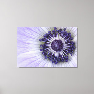 Paarse Anemoon Macro Bloem Canvasprint Canvas Afdruk