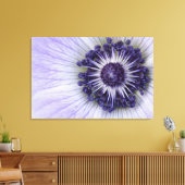 Paarse Anemoon Macro Bloem Canvasprint Canvas Afdruk (Insitu (Woonkamer))