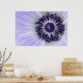 Paarse Anemoon Macro Bloem Fotografie Poster (Keuken)
