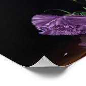 Paarse Anjer Bloemen Kunst Print Poster (Hoek)