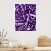 Paarse anjer poster (Keuken)