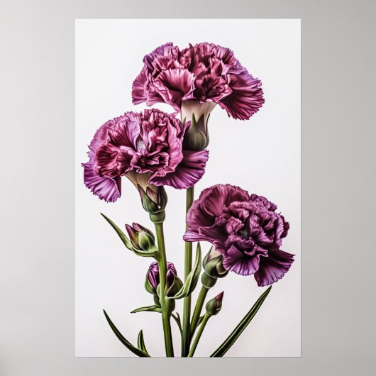 Paarse Anjers Bloem Kunstprint Poster (Voorkant)