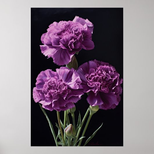 Paarse Anjers Bloem Kunstprint Poster (Voorkant)