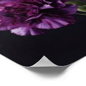 Paarse anjers bloemenkunst print Poster (Hoek)