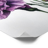 Paarse anjers bloemenkunst print Poster (Hoek)