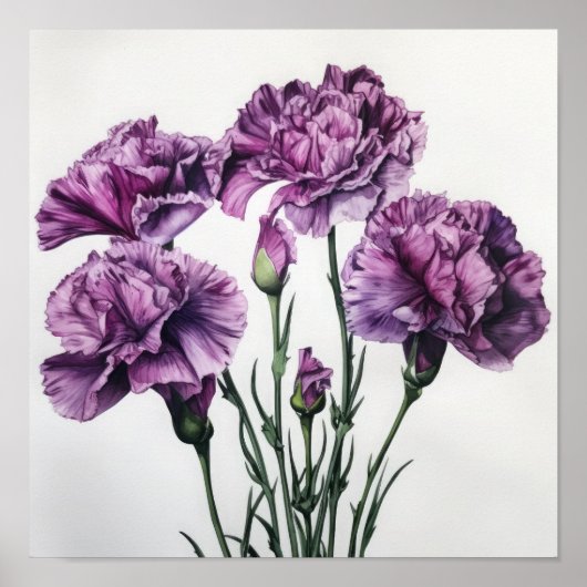 Paarse anjers bloemenkunst print Poster (Voorkant)