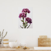 Paarse anjers bloemenkunst print Poster (Keuken)