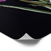 Paarse anjers bloemenkunst print Poster (Hoek)