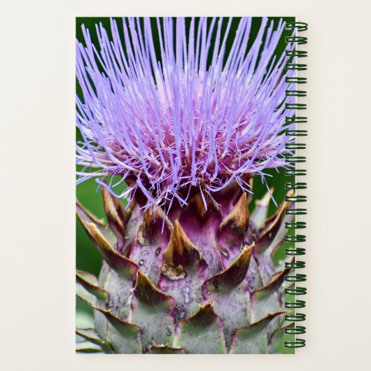 Paarse Artichoke Thistle Head Floral Notitieboek (Achterkant)