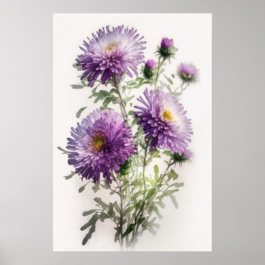 Paarse Aster Bloem Kunstprint Poster (Voorkant)